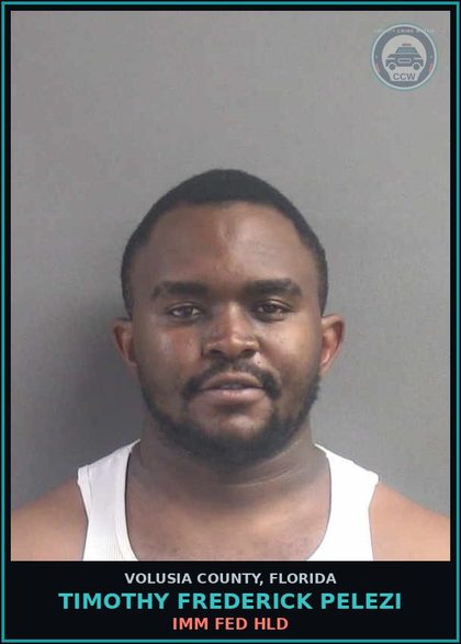 CCW arrest card for TIMOTHY FREDERICK PELEZI in Volusia County: IMM FED HLD