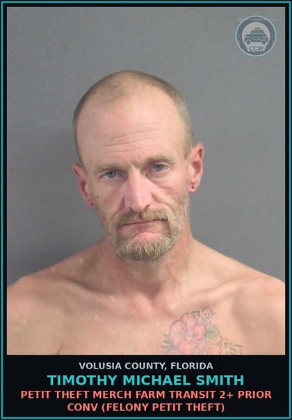 CCW arrest card for TIMOTHY MICHAEL SMITH in Volusia County: PETIT THEFT MERCH FARM TRANSIT 2+ PRIOR CONV (FELONY PETIT THEFT)