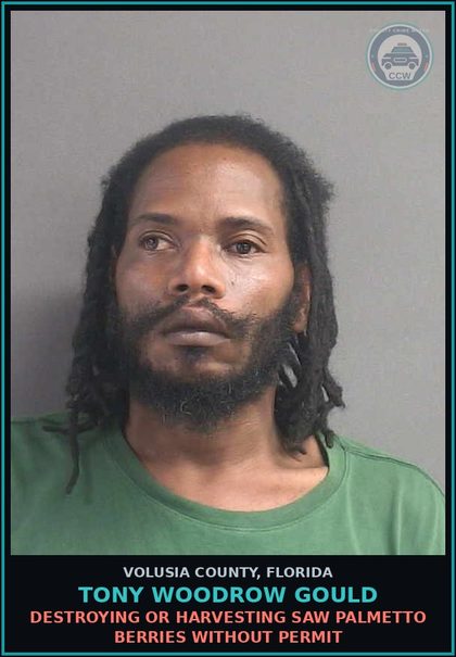 CCW arrest card for TONY WOODROW GOULD in Volusia County: DESTROYING OR HARVESTING SAW PALMETTO BERRIES WITHOUT PERMIT