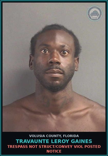 CCW arrest card for TRAVAUNTE LEROY GAINES in Volusia County: TRESPASS NOT STRUCT/CONVEY VIOL POSTED NOTICE