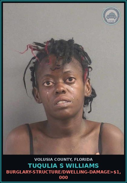 CCW arrest card for TUQULIA S WILLIAMS in Volusia County: BURGLARY-STRUCTURE/DWELLING-DAMAGE>$1,000