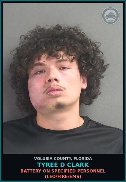 CCW arrest card for TYREE D CLARK in Volusia County: TRESPASS FAIL TO LEAVE PROP ON ORDER OF OWNER