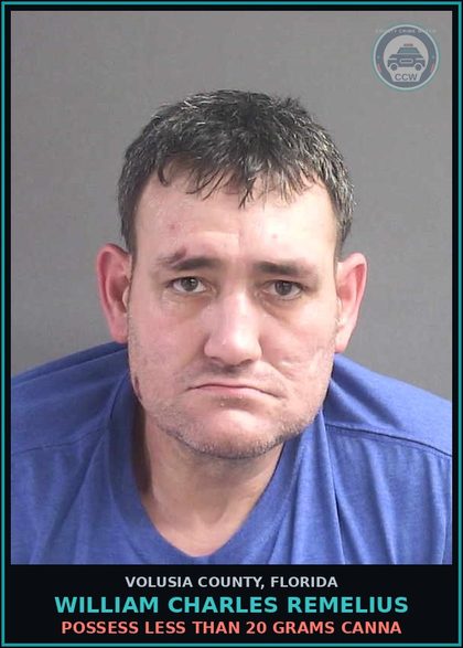 CCW arrest card for WILLIAM CHARLES REMELIUS in Volusia County: POSSESS LESS THAN 20 GRAMS CANNA