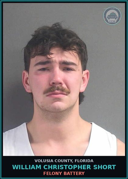 CCW arrest card for WILLIAM CHRISTOPHER SHORT in Volusia County: FELONY BATTERY