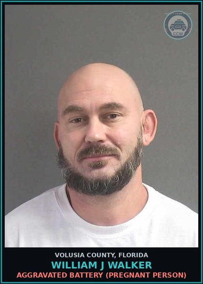 CCW arrest card for WILLIAM J WALKER in Volusia County: DEALING IN STOLEN PROPERTY