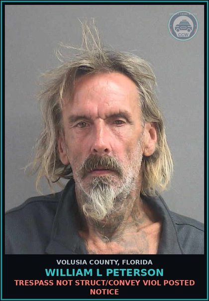 CCW arrest card for WILLIAM L PETERSON in Volusia County: TRESPASS NOT STRUCT/CONVEY VIOL POSTED NOTICE