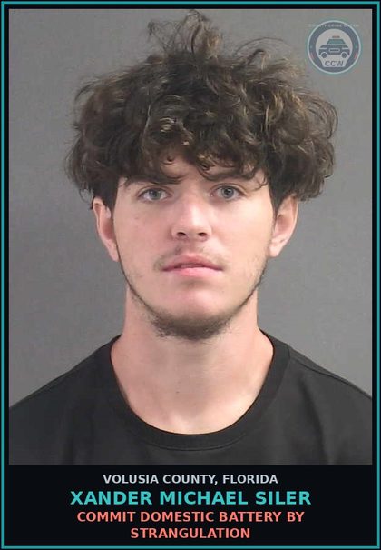 CCW arrest card for XANDER MICHAEL SILER in Volusia County: COMMIT DOMESTIC BATTERY BY STRANGULATION