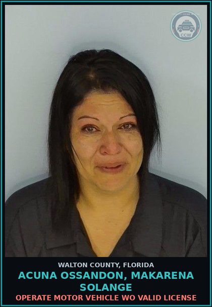 CCW arrest card for ACUNA OSSANDON, MAKARENA SOLANGE in Walton County: Operate Motor Vehicle WO Valid License