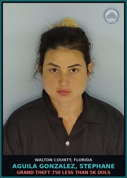 CCW arrest card for AGUILA GONZALEZ, STEPHANE in Walton County: GRAND THEFT 750 LESS THAN 5K DOLS