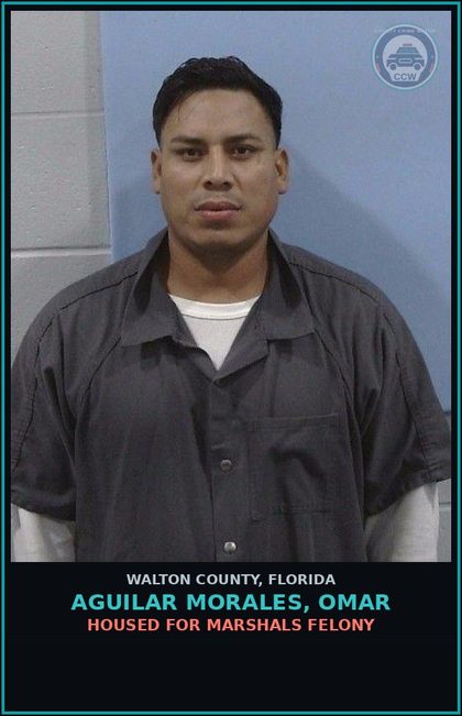 Walton County, FL Mugshots | County Crime Watch