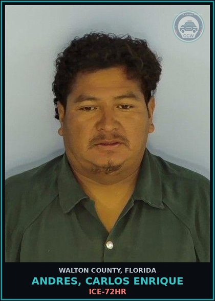 CCW arrest card for ANDRES, CARLOS ENRIQUE in Walton County: ICE-72HR