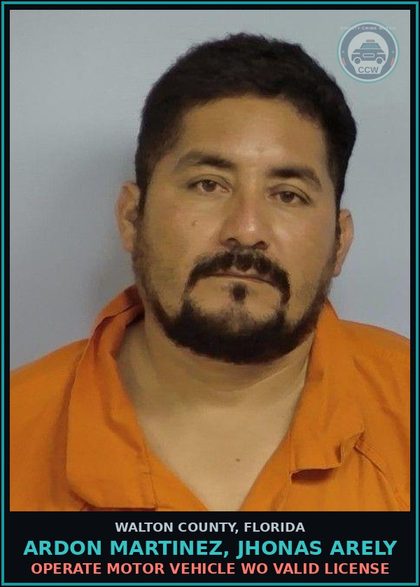 CCW arrest card for ARDON MARTINEZ, JHONAS ARELY in Walton County: Operate Motor Vehicle WO Valid License