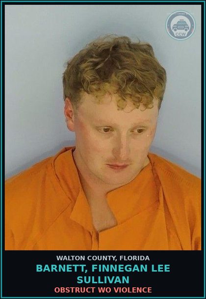CCW arrest card for Barnett, Finnegan Lee Sullivan in Walton County: Obstruct WO Violence
