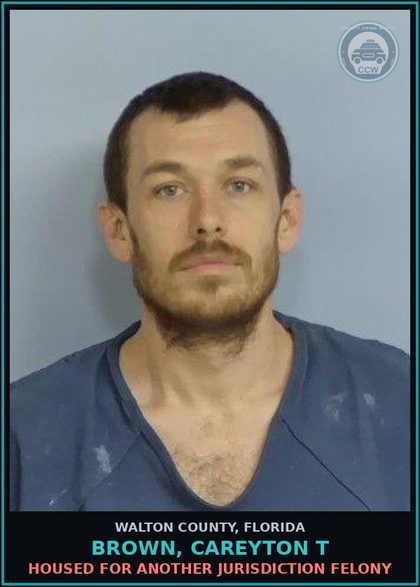 CCW arrest card for BROWN, CAREYTON T in Walton County: Housed for another jurisdiction Felony