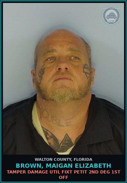 CCW arrest card for BROWN, MAIGAN ELIZABETH in Walton County: TAMPER DAMAGE UTIL FIXT PETIT 2ND DEG 1ST OFF