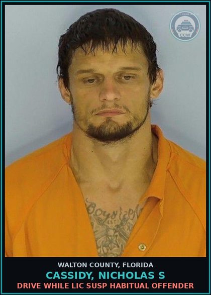 CCW arrest card for CASSIDY, NICHOLAS S in Walton County: Drive While Lic Susp Habitual Offender