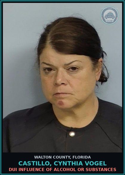 CCW arrest card for CASTILLO, CYNTHIA VOGEL in Walton County: DUI INFLUENCE OF ALCOHOL OR DRUGS