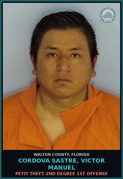 CCW arrest card for CORDOVA SASTRE, VICTOR MANUEL in Walton County: Petit Theft 2nd Degree 1st Offense