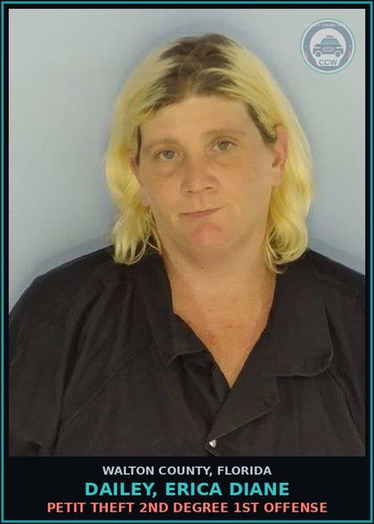 CCW arrest card for DAILEY, ERICA DIANE in Walton County: Petit Theft 2nd Degree 1st Offense