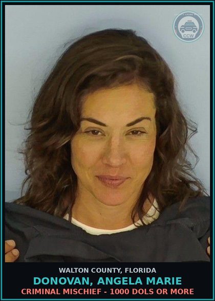 CCW arrest card for DONOVAN, ANGELA MARIE in Walton County: Criminal Mischief - 1000 Dols Or More
