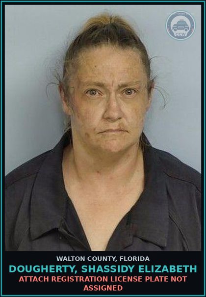 CCW arrest card for DOUGHERTY, SHASSIDY ELIZABETH in Walton County: Attach Registration License Plate Not Assigned