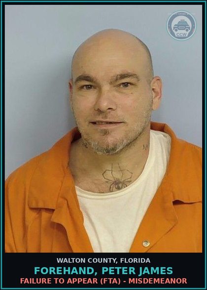 CCW arrest card for FOREHAND, PETER JAMES in Walton County: Failure To Appear (FTA) - Misdemeanor