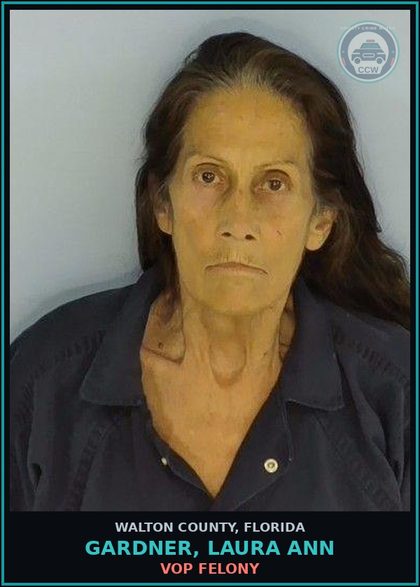 CCW arrest card for GARDNER, LAURA ANN in Walton County: VOP Felony