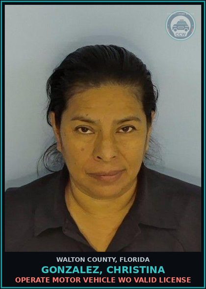 CCW arrest card for GONZALEZ, CHRISTINA in Walton County: Operate Motor Vehicle WO Valid License