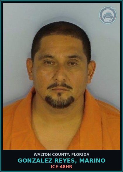 CCW arrest card for GONZALEZ REYES, MARINO in Walton County: ICE-48HR