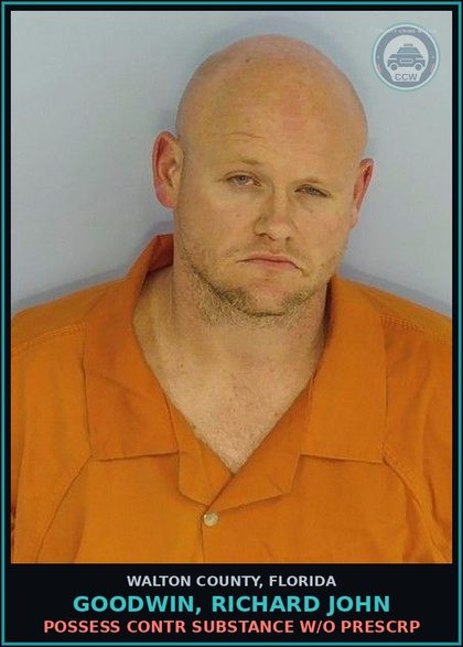 CCW arrest card for GOODWIN, RICHARD JOHN in Walton County: Possess contr substance W/O Prescription