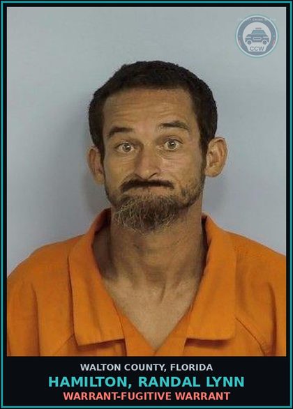 CCW arrest card for HAMILTON, RANDAL LYNN in Walton County: WARRANT-FUGITIVE WARRANT