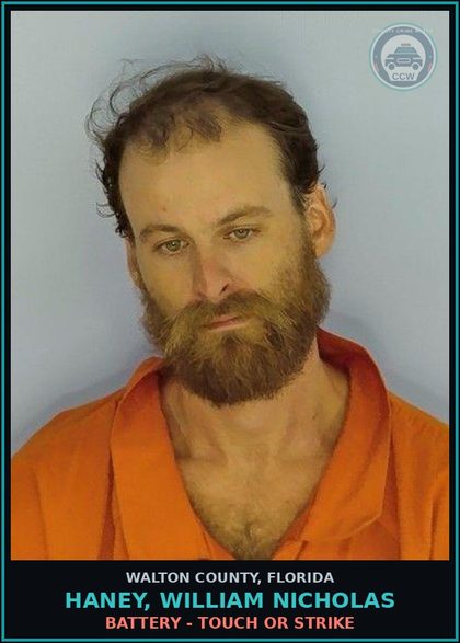 CCW arrest card for HANEY, WILLIAM NICHOLAS in Walton County: Petit Theft Merch/Farm/Transit $100-$750