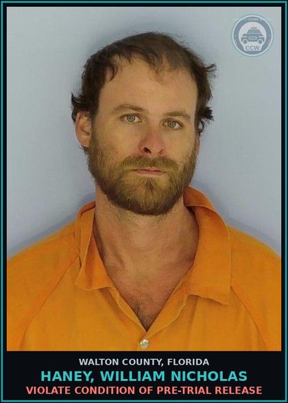 CCW arrest card for HANEY, WILLIAM NICHOLAS in Walton County: Violate Condition Of Pre-Trial Release
