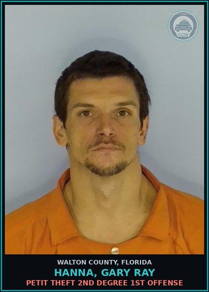 CCW arrest card for HANNA, GARY RAY in Walton County: Petit Theft 2nd Degree 1st Offense