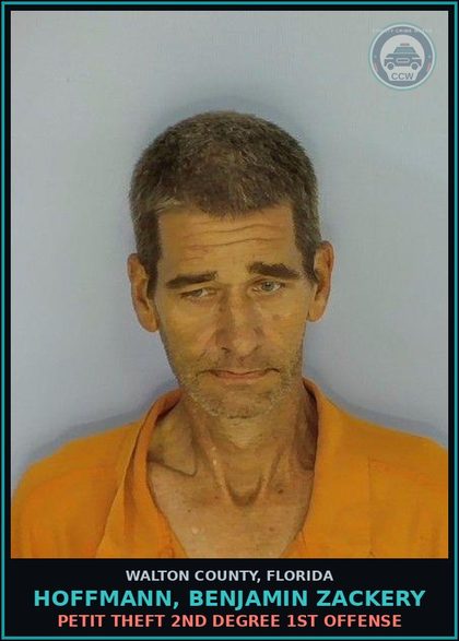 CCW arrest card for HOFFMANN, BENJAMIN ZACKERY in Walton County: Petit Theft 2nd Degree 1st Offense