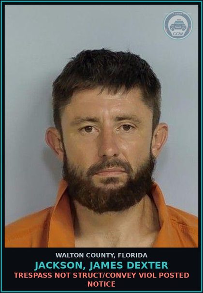 CCW arrest card for JACKSON, JAMES DEXTER in Walton County: TRESPASS NOT STRUCT/CONVEY VIOL POSTED NOTICE