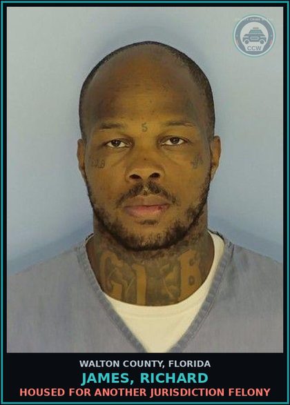 CCW arrest card for JAMES, RICHARD in Walton County: Housed for another jurisdiction Felony