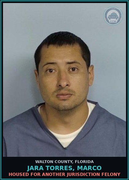 CCW arrest card for JARA TORRES, MARCO in Walton County: Housed for another jurisdiction Felony