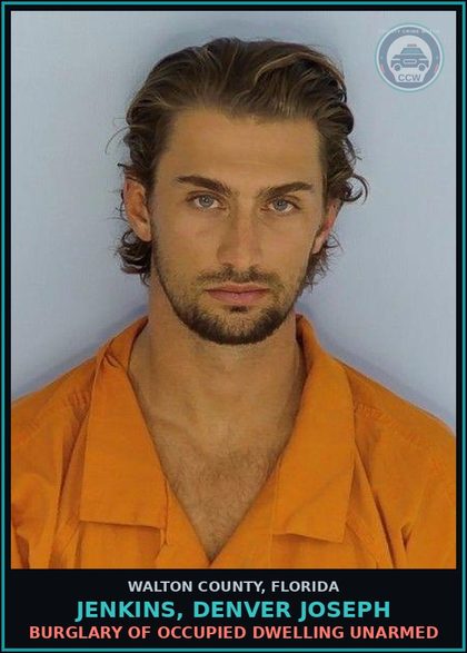 CCW arrest card for JENKINS, DENVER JOSEPH in Walton County: Criminal Mischief - 200 Dols And Under
