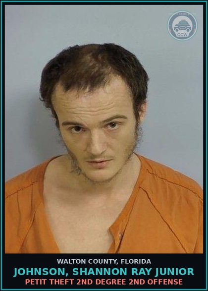 CCW arrest card for JOHNSON, SHANNON RAY Junior in Walton County: Obstruct WO Violence