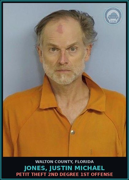 CCW arrest card for JONES, JUSTIN MICHAEL in Walton County: Petit Theft 2nd Degree 1st Offense