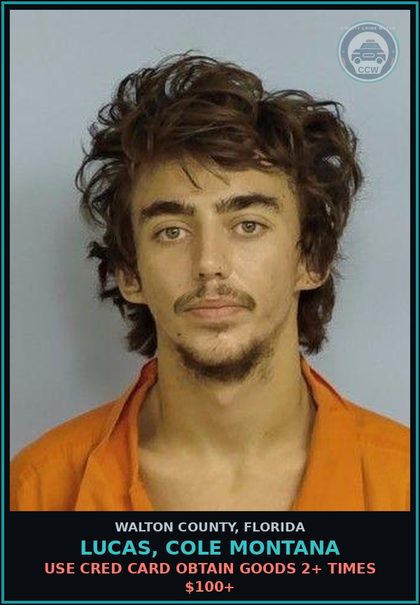 CCW arrest card for LUCAS, COLE MONTANA in Walton County: Use Cred Card Obtain Goods 2+ Times $100+