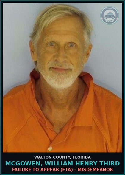 CCW arrest card for MCGOWEN, WILLIAM HENRY Third in Walton County: VIOL INJUNCTION PROTECTION DOMESTIC VIOLENCE