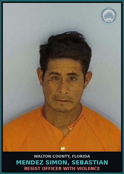 CCW arrest card for Mendez Simon, Sebastian in Walton County: OPERATE MOTOR VEHICLE W/O VALID LIC 2ND CONV