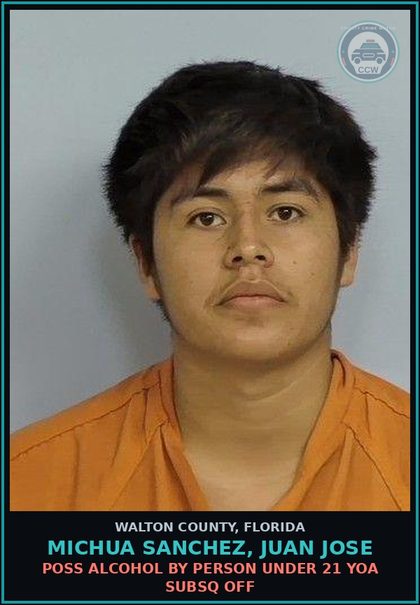 CCW arrest card for MICHUA SANCHEZ, JUAN JOSE in Walton County: Poss Alcohol By Person Under 21 YOA Subsq Off