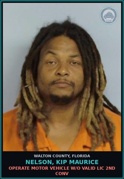 CCW arrest card for NELSON, KIP MAURICE in Walton County: OPERATE MOTOR VEHICLE W/O VALID LIC 2ND CONV