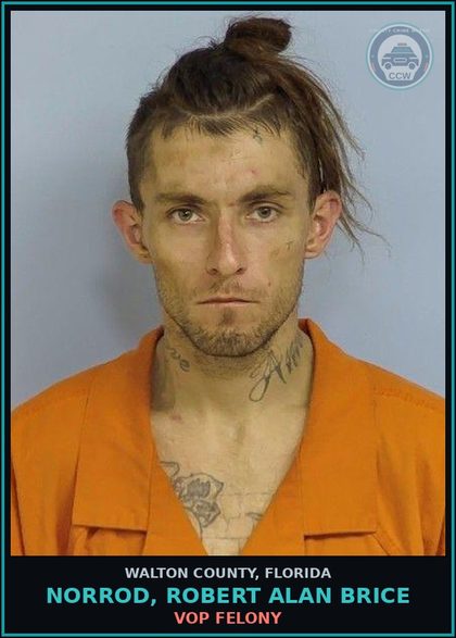 CCW arrest card for NORROD, ROBERT ALAN BRICE in Walton County: VOP Felony