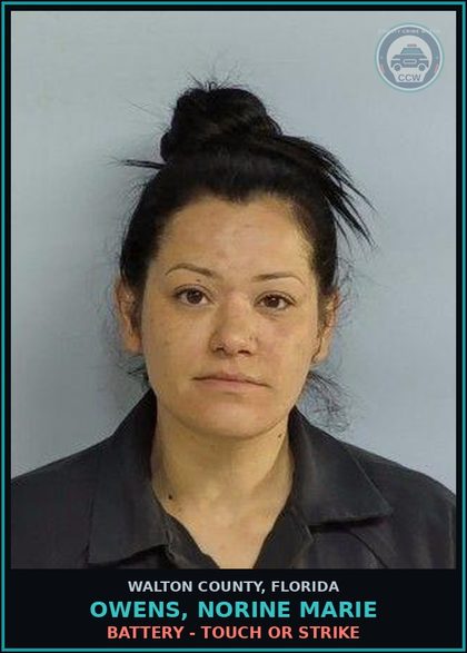 CCW arrest card for OWENS, NORINE MARIE in Walton County: Battery - Touch or Strike