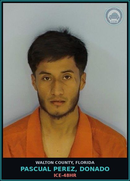 CCW arrest card for PASCUAL PEREZ, DONADO in Walton County: ICE-48HR