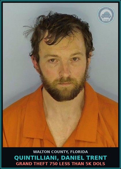 CCW arrest card for QUINTILLIANI, DANIEL TRENT in Walton County: Multiple Thefts WI Specified Time Period